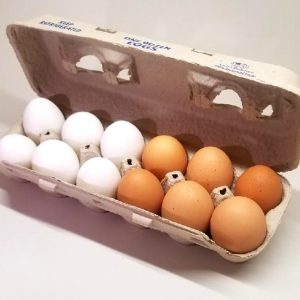 Burkel Eggs